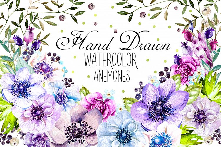 Hand Drawn Watercolor Anemones