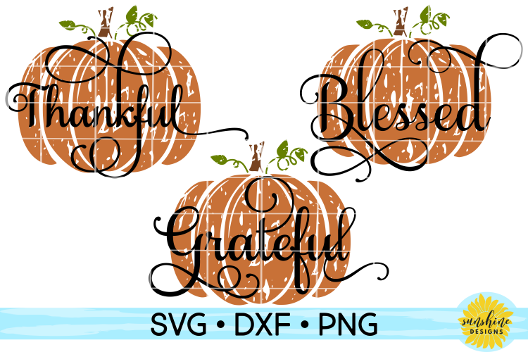 THANKFUL GRATEFUL BLESSED DISTRESSED PUMPKINS SVG DXF PNG