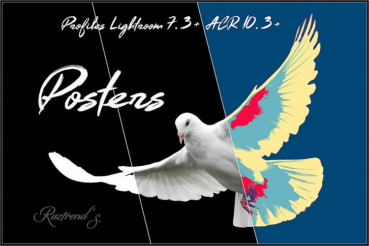 Posters Profiles LR 7.3 ACR 10.3