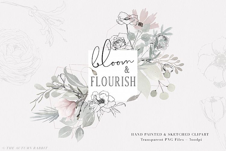 Bloom & Flourish - Floral Clipart Set