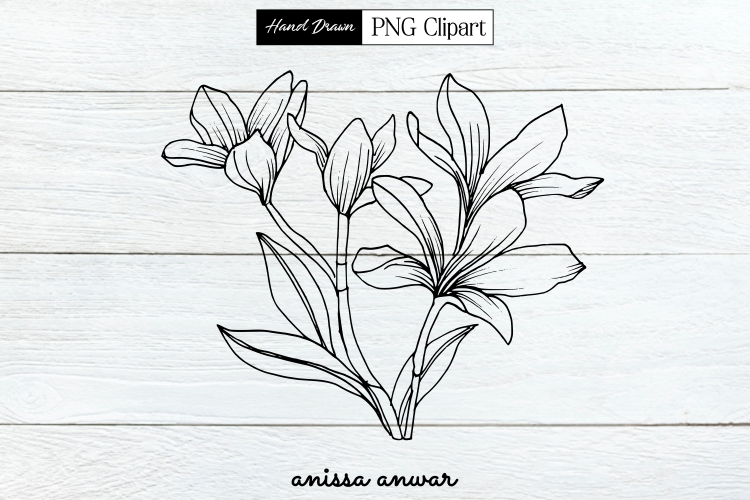Flowers Bouquet Line Art, Png Clipart, Sublimation Printable