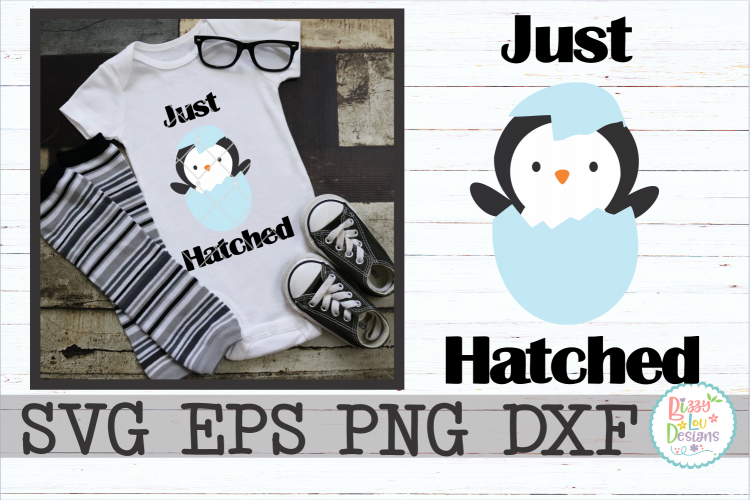 Just Hatched Penguin