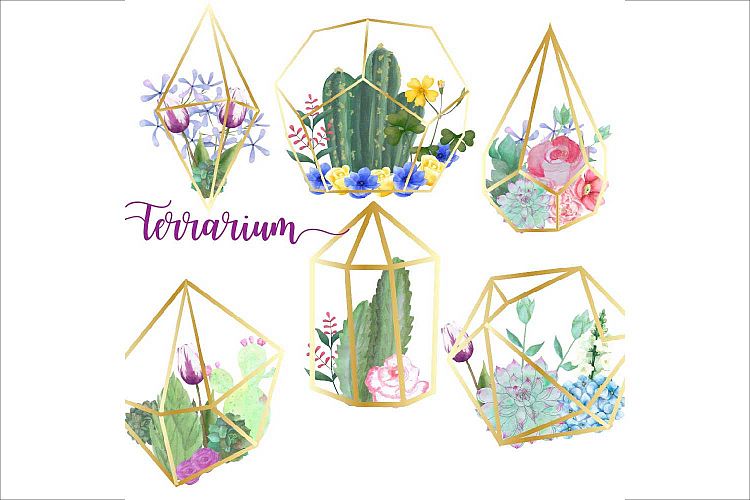 Hand Drawn Watercolor Terrarium Clipart