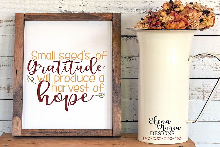 Small Seeds Of Gratitude Will Produce A Harvest Of Hope SVG