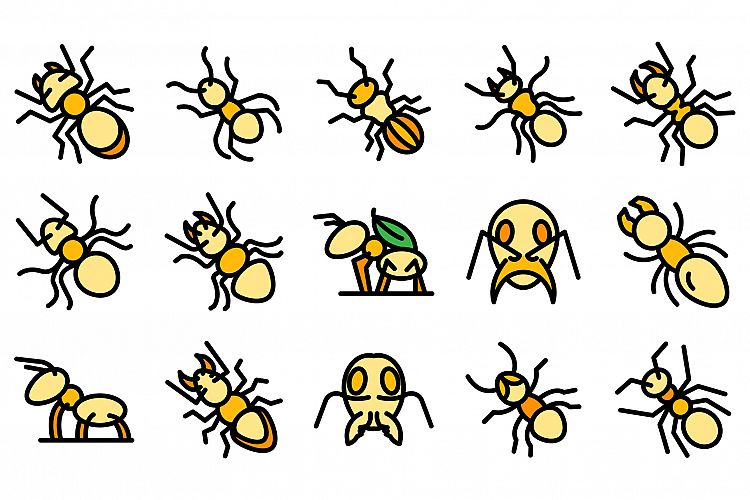 Ant icons set vector flat example image 1