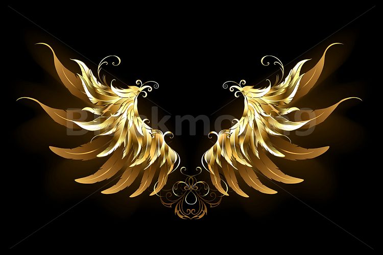 Shiny Angel Wings ( Gold WIngs )