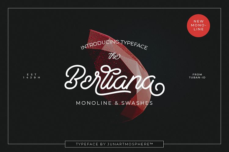 Berliana Monoline Font Extrass Logo