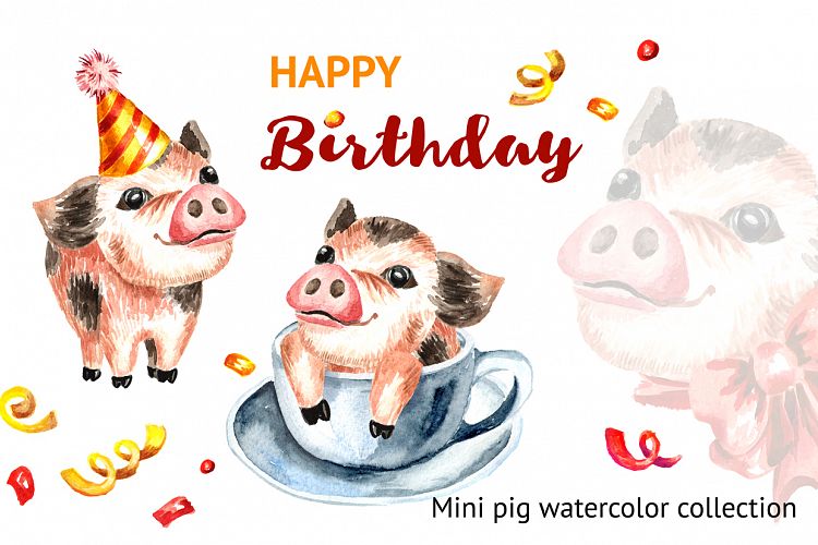 Mini Pig. Happy Birthday collection