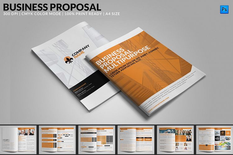 Business Proposal Multipurpose