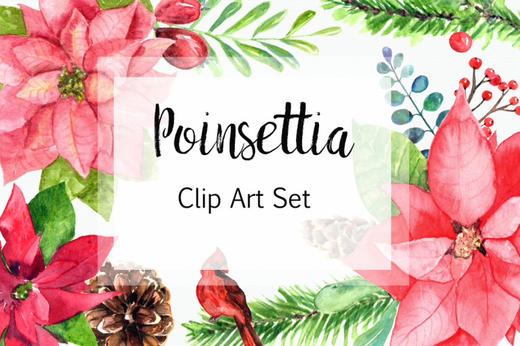 Watercolor Poinsettia Clip Art Set