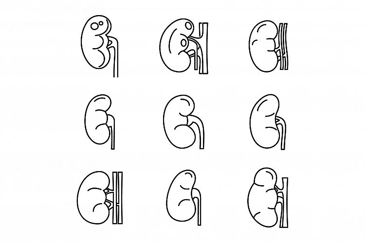 Kidney organ icons set, outline style example image 1