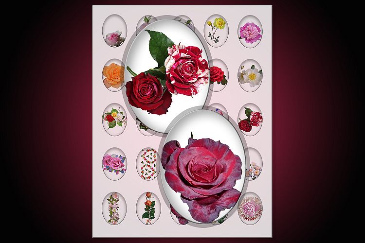 Oval Printable Flowers, Flowers Digital Gollage Sheet