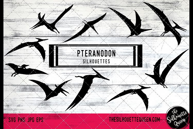 Pteranodon Dinosaur svg files cricut, silhouette clip art, V