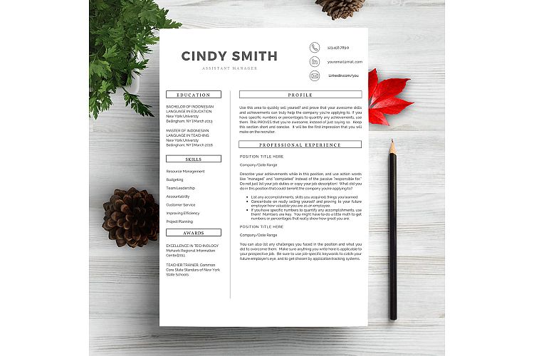 Professional Resume Template CV
