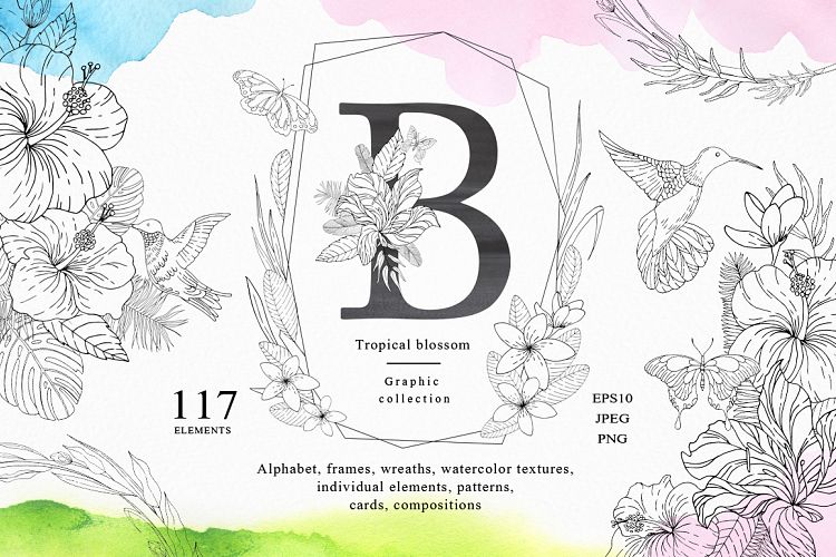 Tropical blossom graphic collection