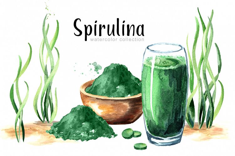 Spirulina. Watercolor collection