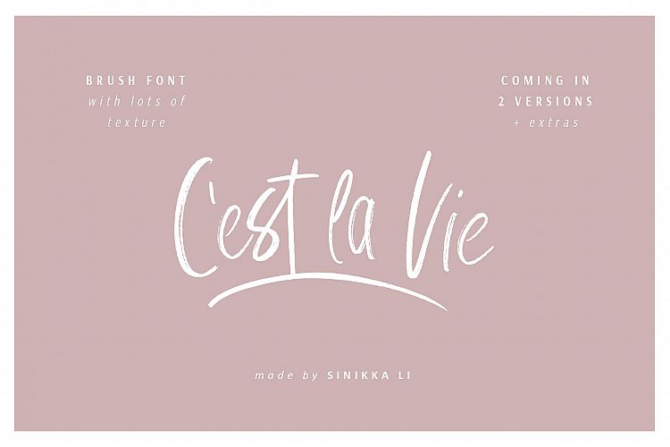 Cest La Vie | Font + Extras