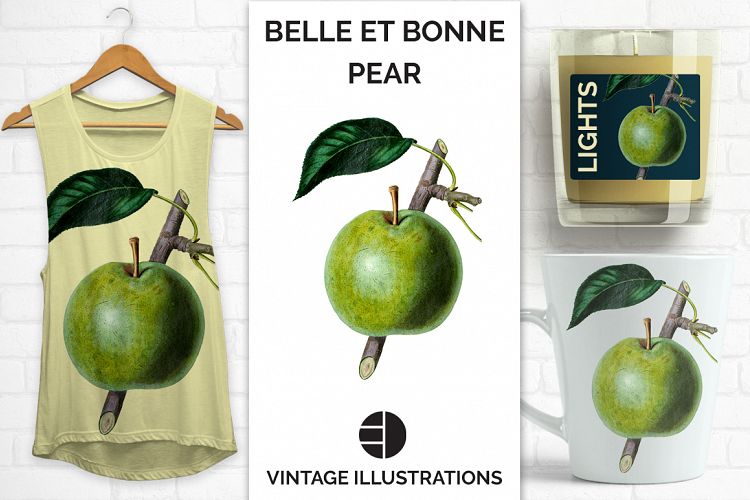Fruit - Vintage Belle et Bonne Pear