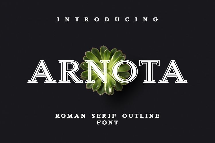 Arnota
