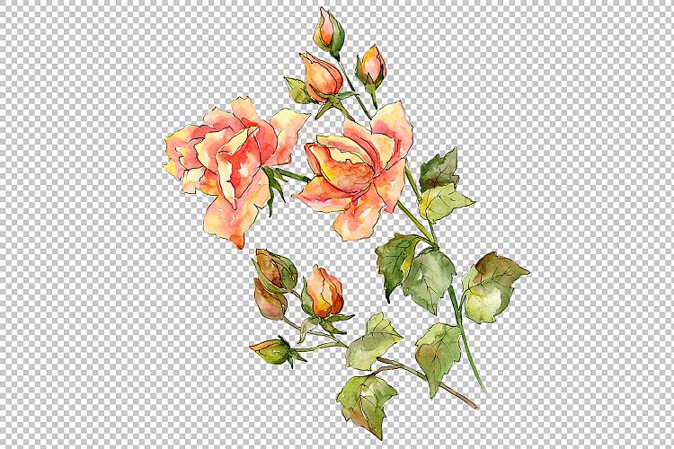 Bouquet of wonderful roses PNG watercolor set