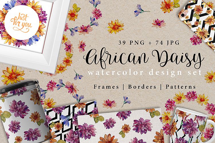 African daisy PNG watercolor design set