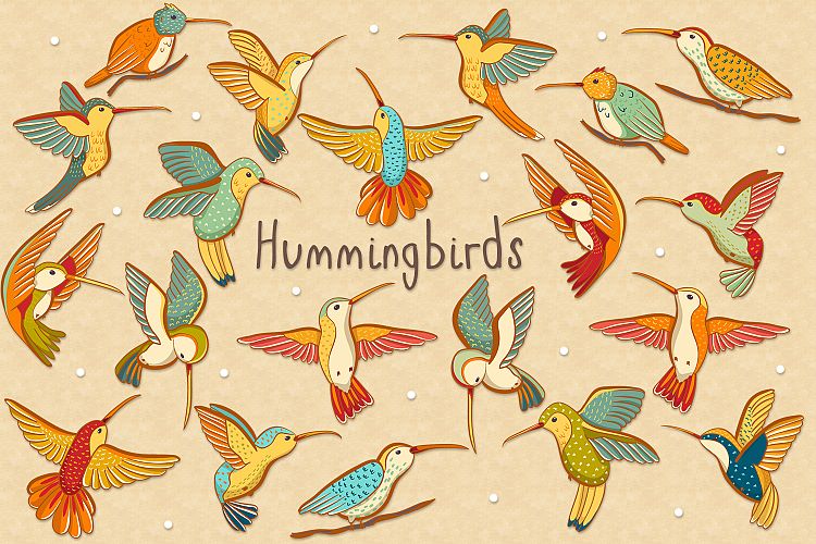 Hummingbird Vector