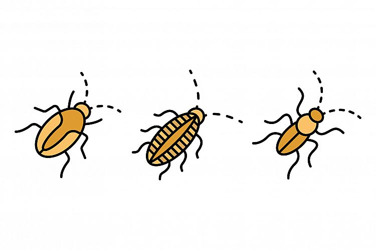 Cockroach icons set vector flat example image 1