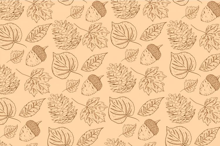 autumn elements line art pattern