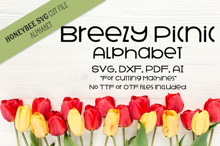 Breezy Picnic Alphabet SVG Cut Files