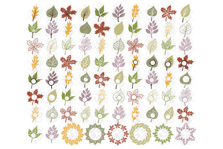 Leaf SVG Fall Leaves Autumn in SVG, DXF, PNG, EPS, JPEG