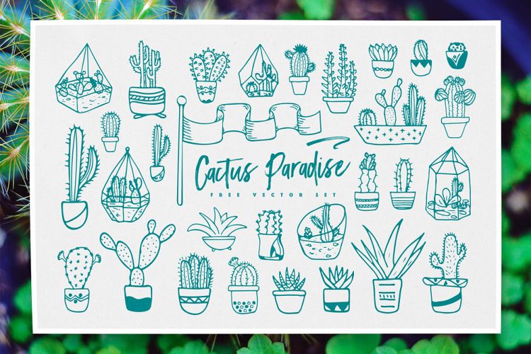 Cactus Paradise Vector Set