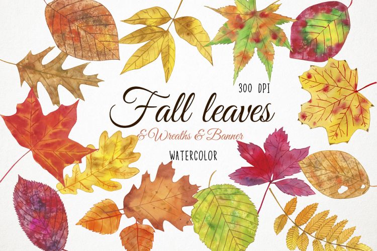 Watercolor Fall Leaves Clipart, Fall Leaves Clip Art