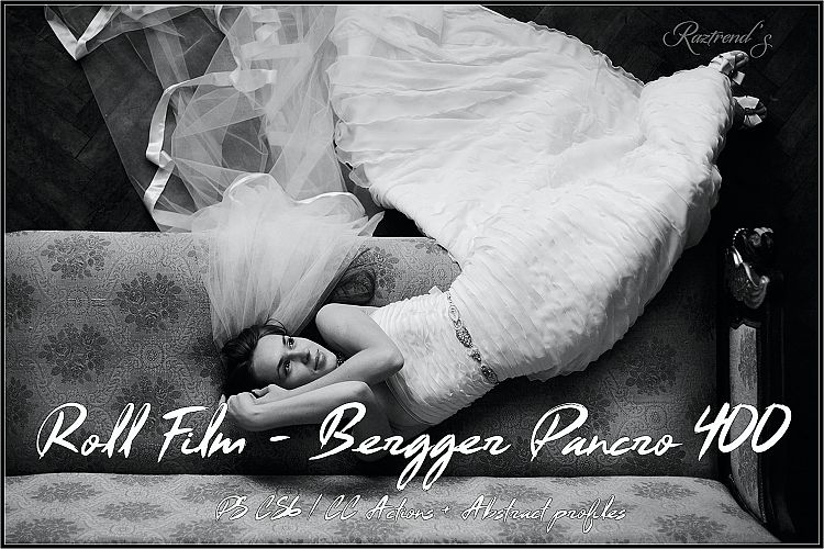 Roll Film - Bergger Pancro 400
