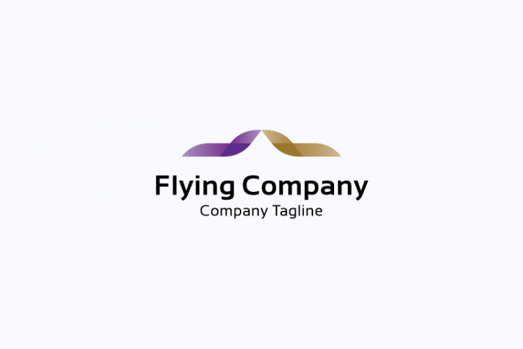 Flying Company Logo