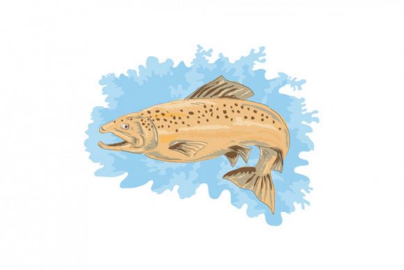 Trout Fish Jumping example image 1