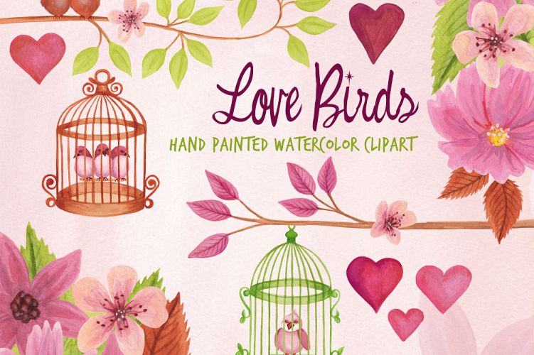 Love Birds and Birdcages