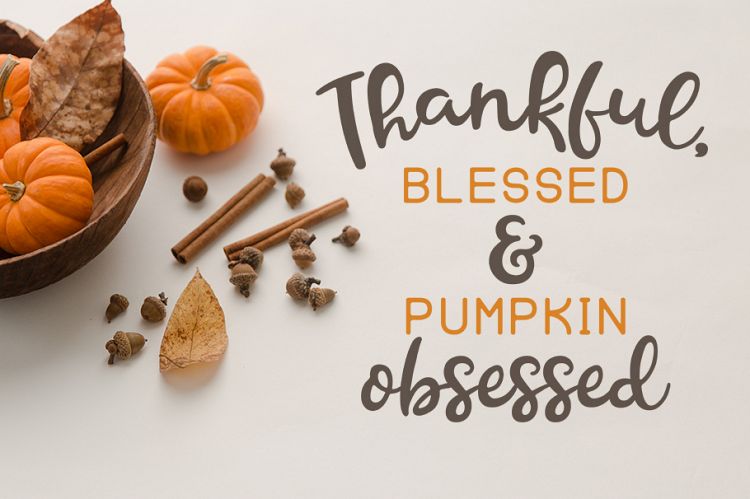 Thankful Blessed   Pumpkin Obsessed SVG Cut File