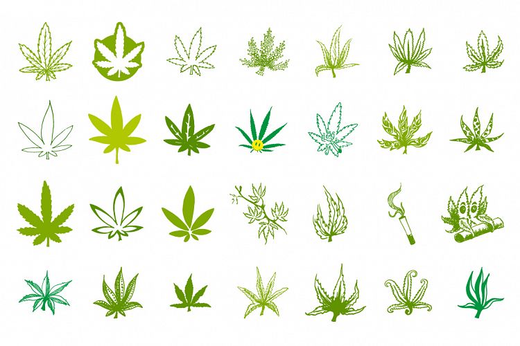 Medical marijuana or cannabis icons set.
