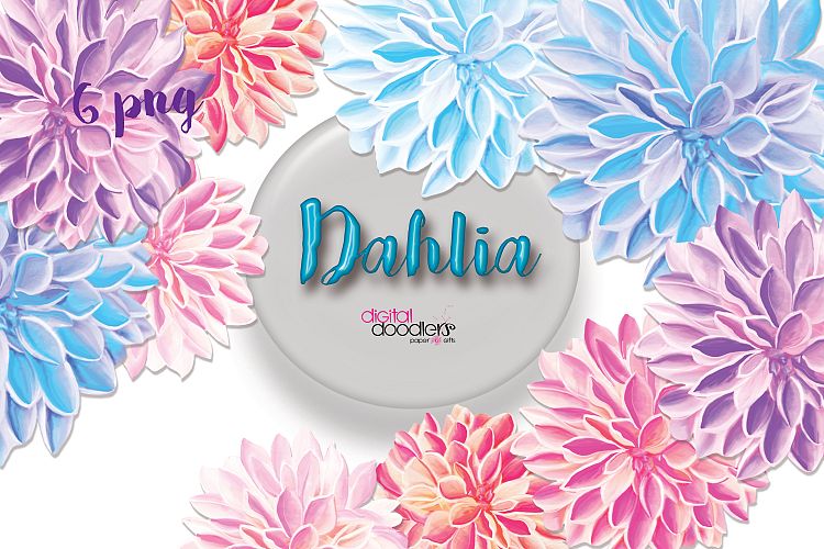 Dahlia