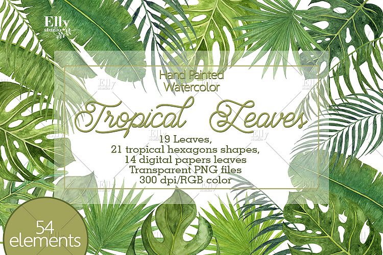 Tropical Leaves