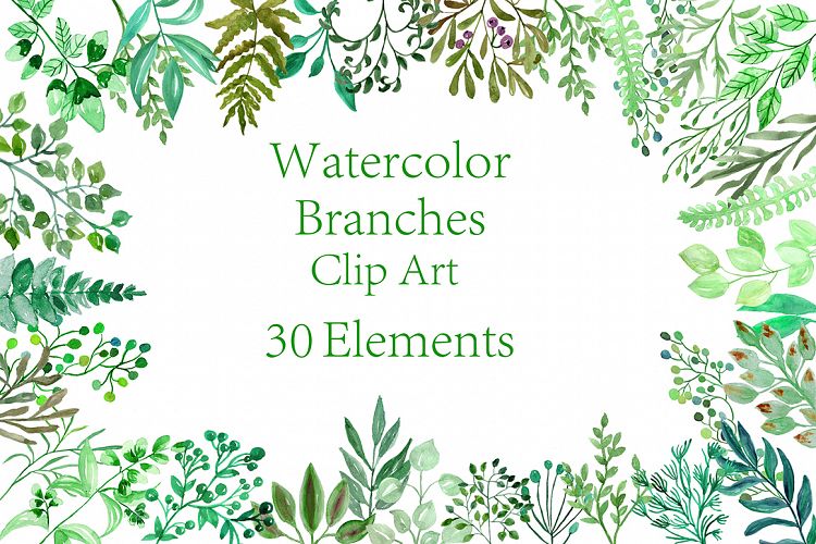Watercolor Branches clipart