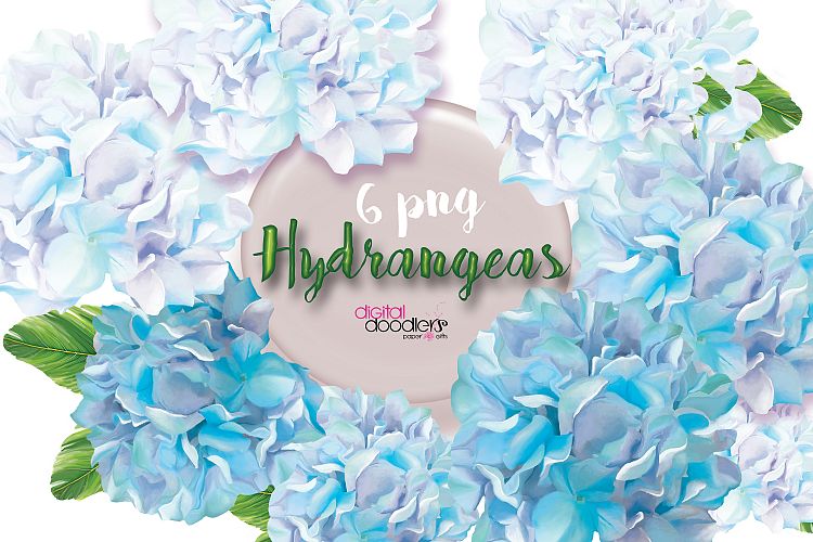 Blue Hydrangeas