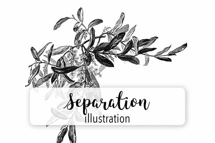 Black and White Flowers - Vintage Florals