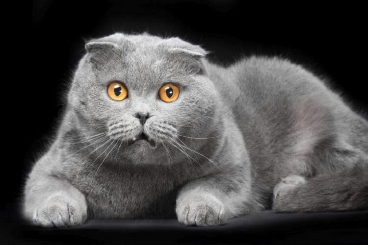 Test 1