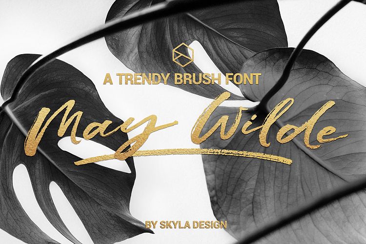 Trendy brush font, May Wilde