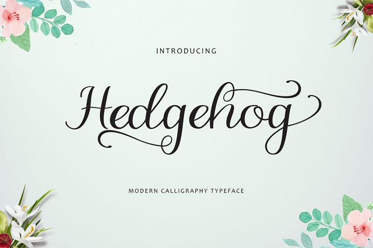 Hedgehog