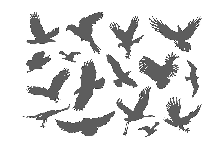 Silhouette of black birds pack on a white background