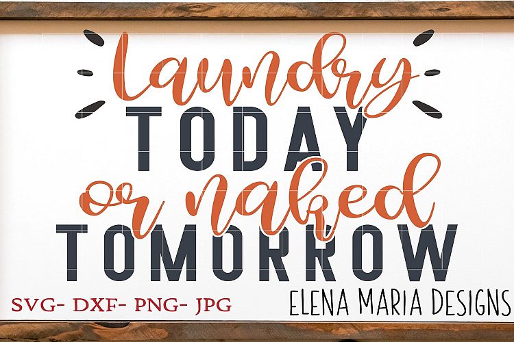 Laundry Today Or Naked Tomorrow