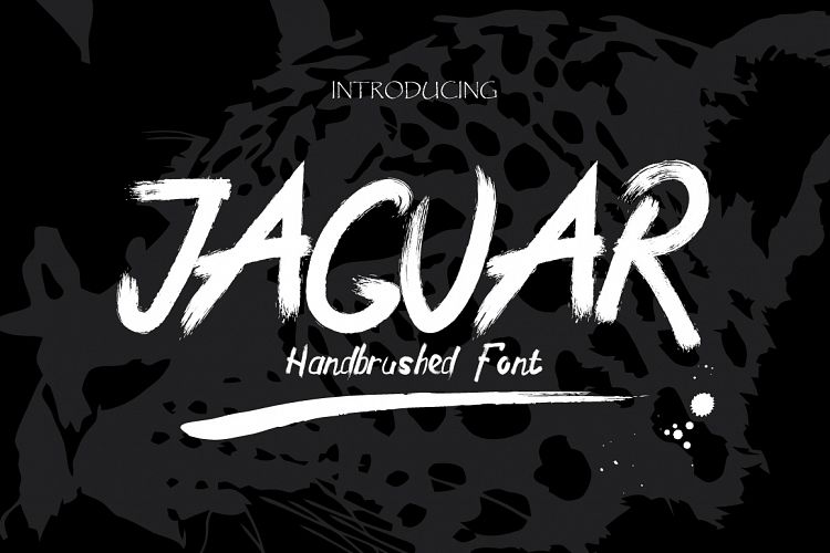 Jaguar Typeface + Swashes