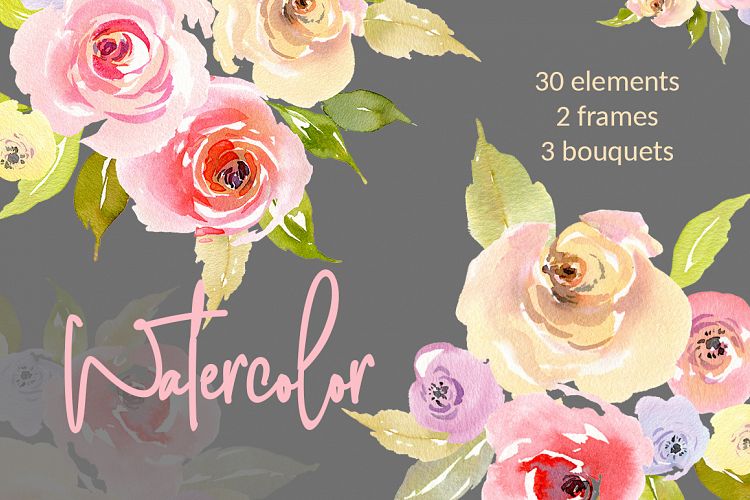 Watercolor Roses Flowers, Bouquets, Frames PNG